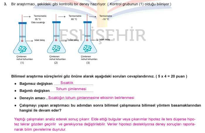 9. Sınıf Biyoloji Dersi 1. Dönem 1. Yazılı Soruları 2024-2025 3