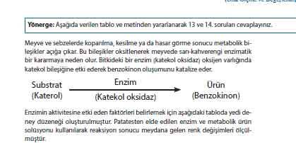 9. Sınıf Biyoloji Ders Kitabı 2. Tema Ölçme ve Değerlendirme Soruları ve Cevapları Meb Yayınları 5