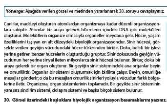 9. Sınıf Biyoloji Ders Kitabı 2. Tema Ölçme ve Değerlendirme Soruları ve Cevapları Meb Yayınları 11