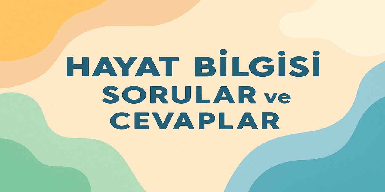 2. Sınıf Hayat Bilgisi 1. Ders Kitabı Sayfa 25 Cevapları Meb Yayınları