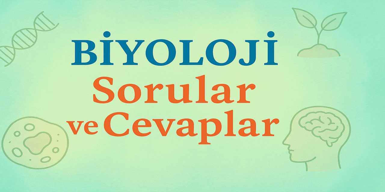10. Sınıf Biyoloji Ders Kitabı Sayfa 21 Cevapları Meb Yayınları