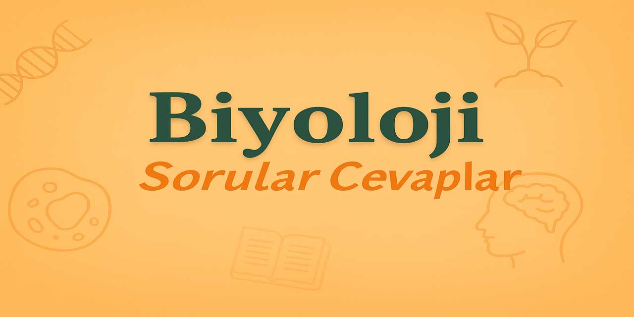 9. Sınıf Biyoloji Ders Kitabı Cevapları Meb Yayınları