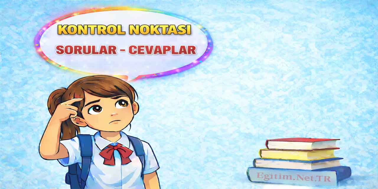 9. Sınıf Kimya Ders Kitabı Sayfa 213 Cevapları Meb Yayınları