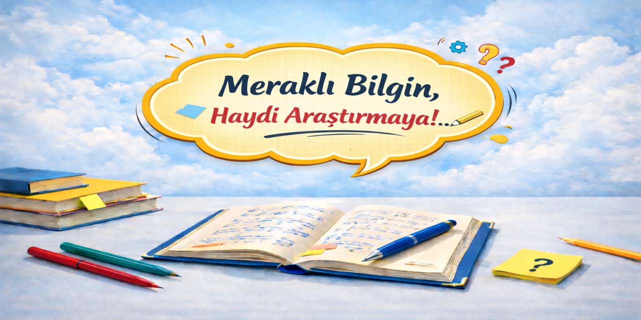 Ağaçların yaşları nasıl anlaşılır?