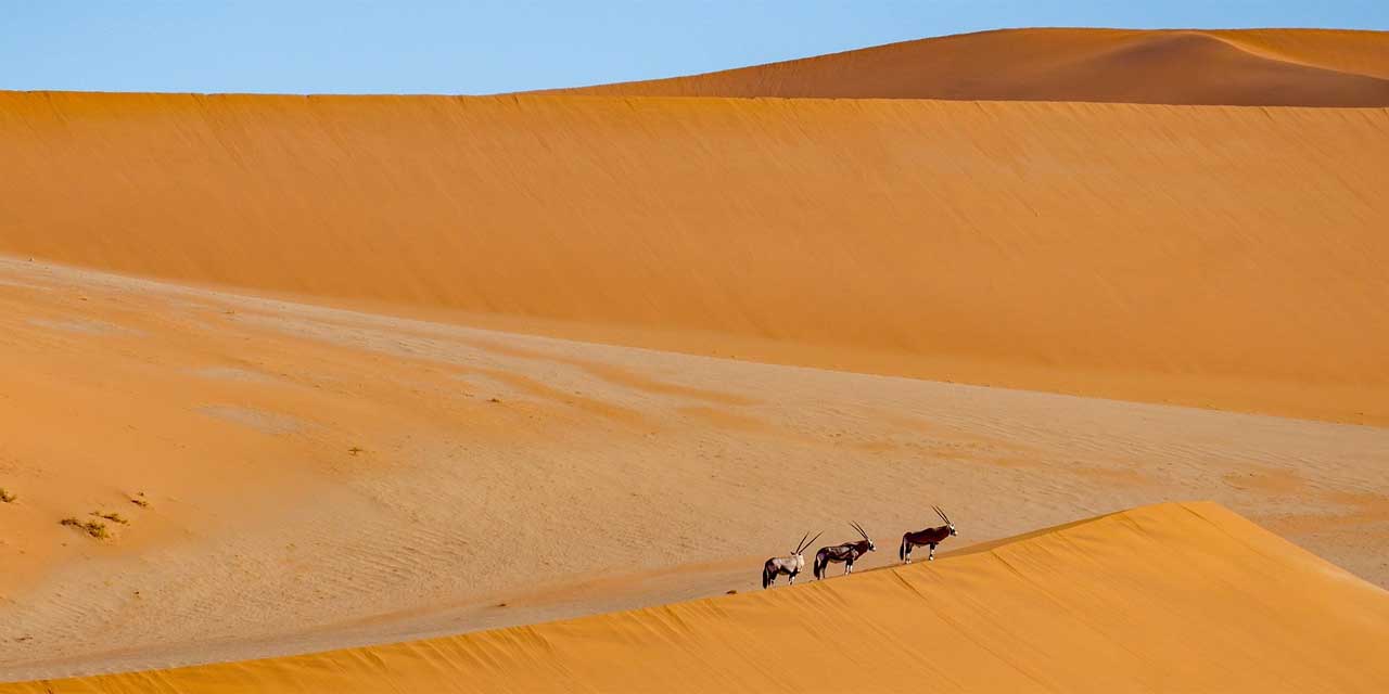 Afrika'nın Ünlü Çölleri ve Özellikleri: Sahra, Namib, Kalahari