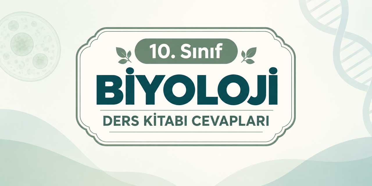 10. Sınıf Biyoloji Ders Kitabı Sayfa 49 Cevapları Meb Yayınları - Sindirim, Emilim ve Taşınma Performans Görevi