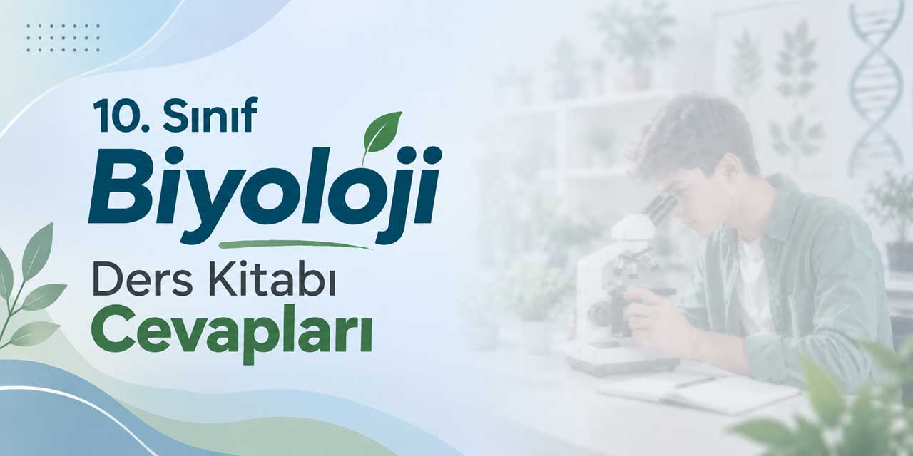 10. Sınıf Biyoloji Ders Kitabı Sayfa 22 Cevapları Meb Yayınları - Fotosentezin Modellenmesi