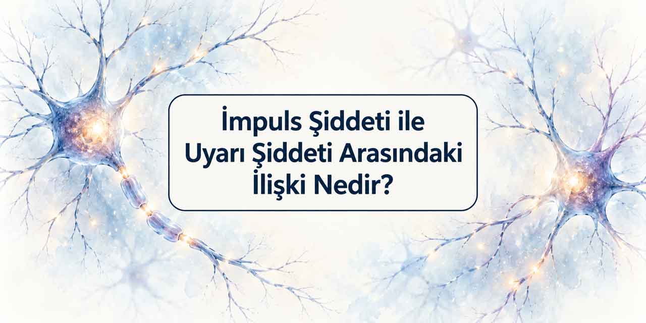 İmpuls şiddeti ile uyarı şiddeti arasındaki ilişki nedir?