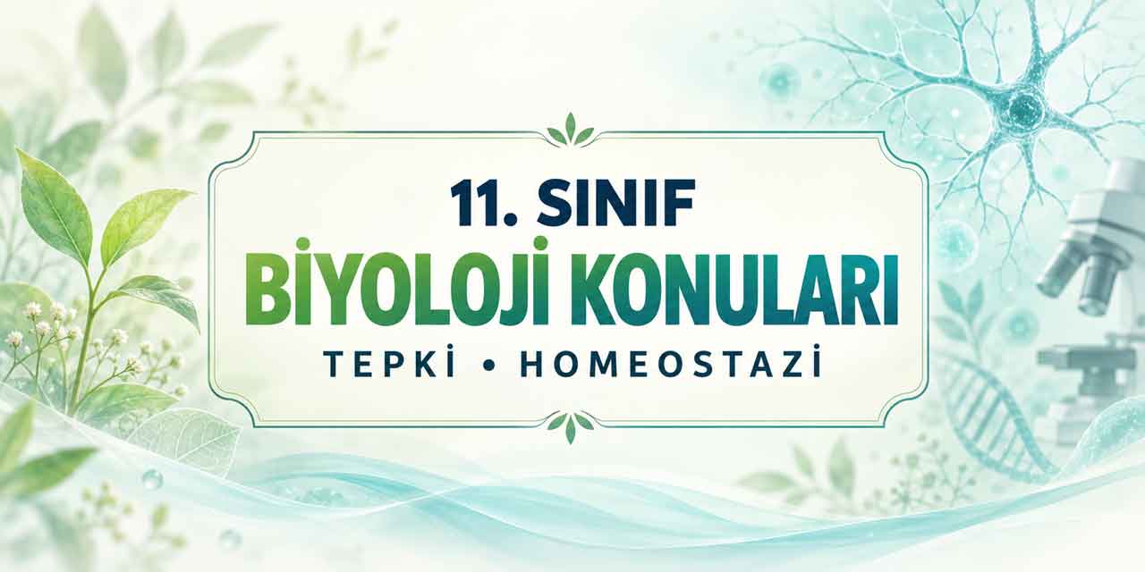 11. Sınıf Biyoloji Konuları Nelerdir?