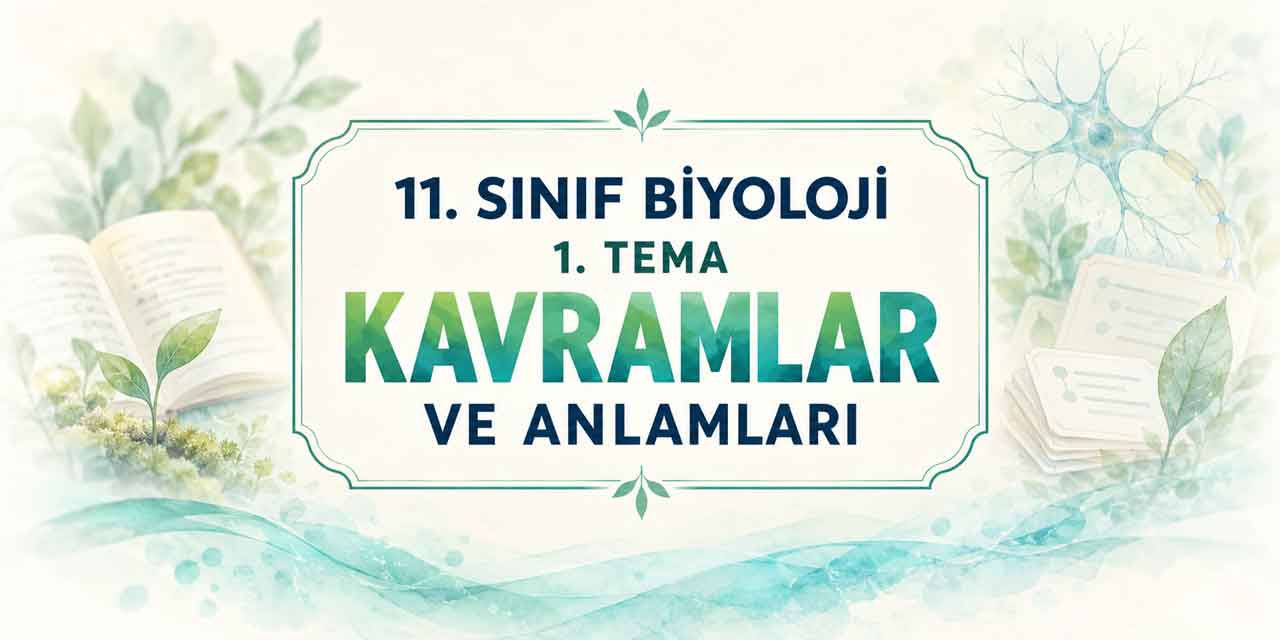 11. Sınıf Biyoloji 1. Tema Kavramları ve Anlamları