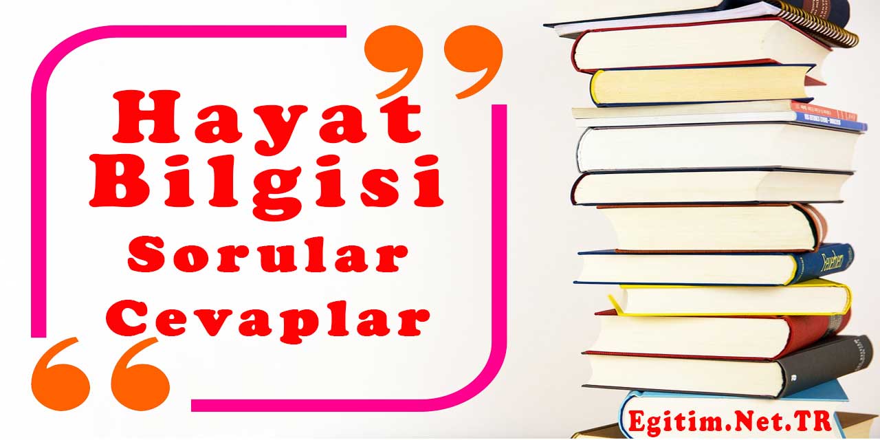 3. Sınıf Hayat Bilgisi Ders Kitabı Sayfa 41-42-43-44-45-46-47 Cevapları Meb Yayınları