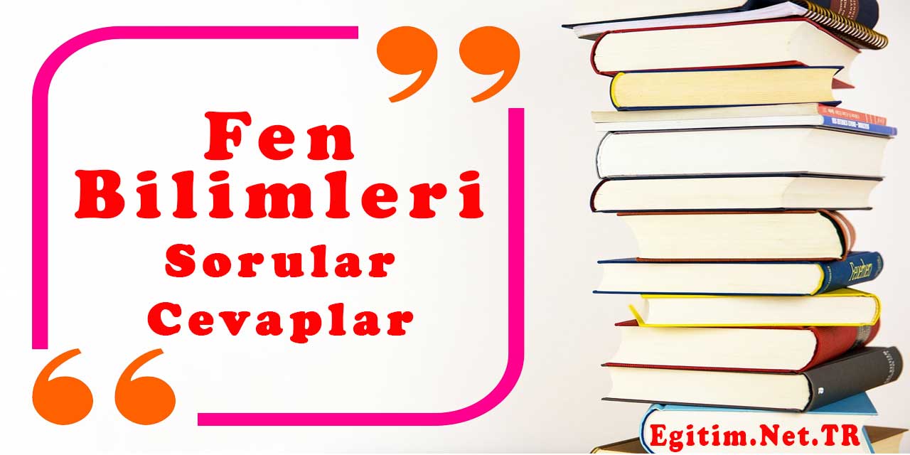 7 sınıf fen bilimleri ders kitabı evvel cevap
