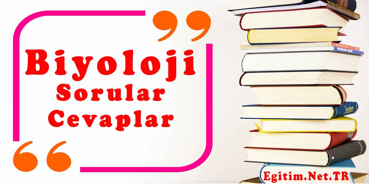 11. Sınıf Biyoloji Ders Kitabı 2. Ünite Değerlendirme Soruları ve Cevapları Tuna Yayınları