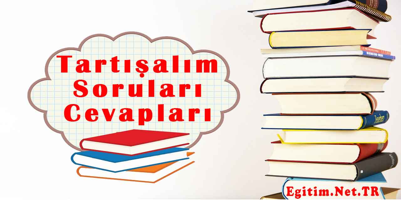 XVI. yüzyılda Osmanlı Devleti’nin dünya gücü olmasında etkili olan politikalar neler olabilir?