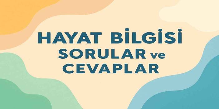 2. Sınıf Hayat Bilgisi 1. Ders Kitabı Sayfa 25 Cevapları Meb Yayınları