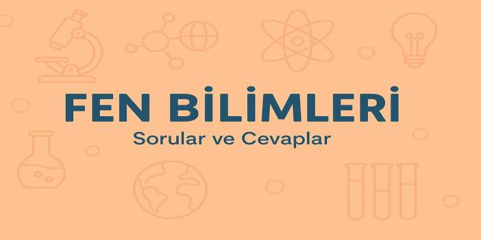 8. Sınıf Fen Bilimleri Ders Kitabı Cevapları Meb Yayınları