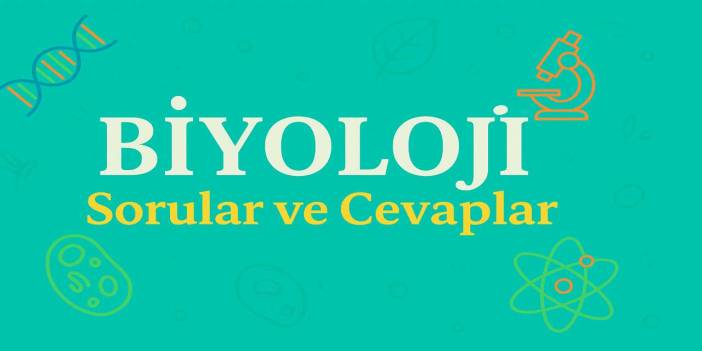 10. Sınıf Biyoloji Ders Kitabı Sayfa 101 Cevapları Meb Yayınları