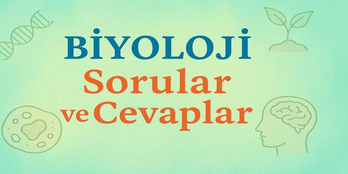 10. Sınıf Biyoloji Ders Kitabı Cevapları Meb Yayınları (2025-2026)
