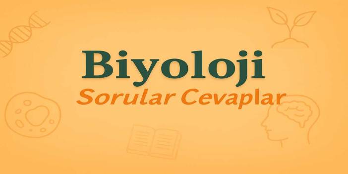 10. Sınıf Biyoloji Ders Kitabı Sayfa 109-111 Cevapları Meb Yayınları