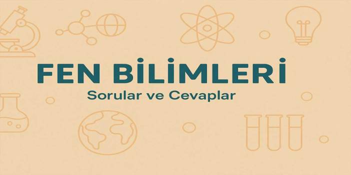 6. Sınıf Fen Bilimleri 1. Ders Kitabı Sayfa 116 Cevapları Meb Yayınları
