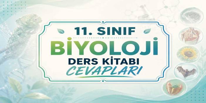 11. Sınıf Biyoloji Ders Kitabı Sayfa 27 Cevapları Meb Yayınları 2026-2027 - Kontrol Noktası