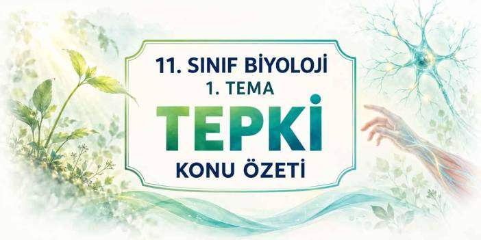 11. Sınıf Biyoloji 1. Tema Tepki Özeti