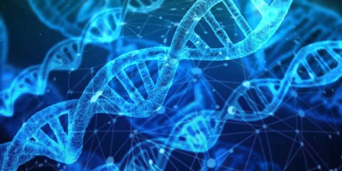 Gelecekte genetik mühendisliği ve biyoteknoloji uygulamalarının neler olabileceğini tahmin ediniz