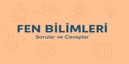 8. Sınıf Fen Bilimleri Ders Kitabı Sayfa 36-41 Cevapları Meb Yayınları
