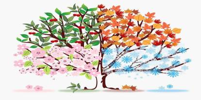 Kuzey Yarım Küre’de olan ülkemizde ocak ayında kış mevsimi yaşanırken aynı tarihte Güney Yarım Küre’de yer alan Brezilya’da nede